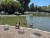 LONG BEACH residents, geese, and ducks, were thrilled to see the El Dorado Park Duck Pond reopen last month. Improvements have been made that locals have been looking forward to for several years. 