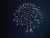 Big Bang on the Bay, July 3, in the Alamitos Bay Marina. Mother nature responded with a 6.4 magnitude earthquake (a bigger bang) east of Bakersfield at 10:33 a.m. on July 4.