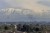 SNOW-COVERED MT. BALDY as seen from Signal Hill with an airliner on final approach to LAX.