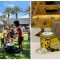 Previous National Honey Bee Day event.