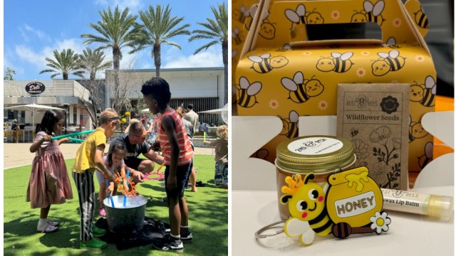 Previous National Honey Bee Day event.
